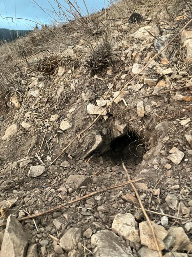 a small hole in the ground