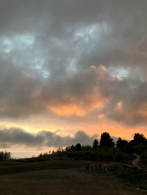 Sunset with poofy clouds over a tree-lined ridge